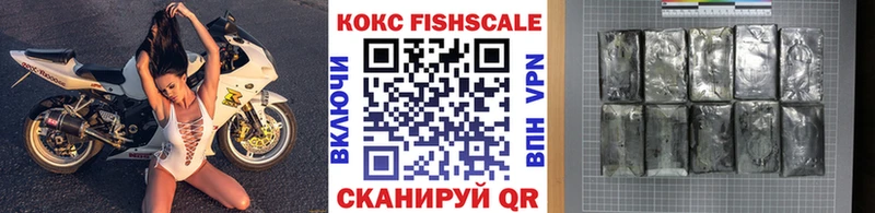 как найти закладки  Топки  COCAIN Fish Scale 