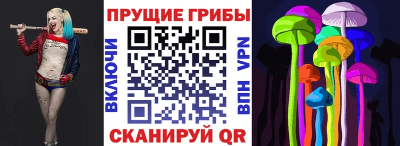 Псилоцибиновые грибы мухоморы kraken tor Топки