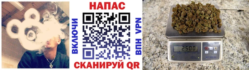 даркнет телеграм MEGA ссылка Топки МАРИХУАНА White Widow